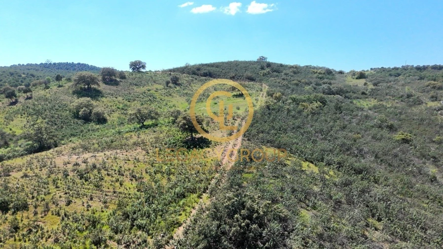 Terreno para Venda em Vaqueiros Foto 20