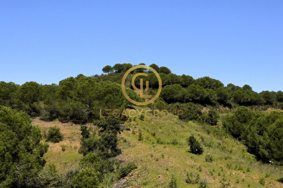 Terreno para Venda em Vaqueiros Foto 16