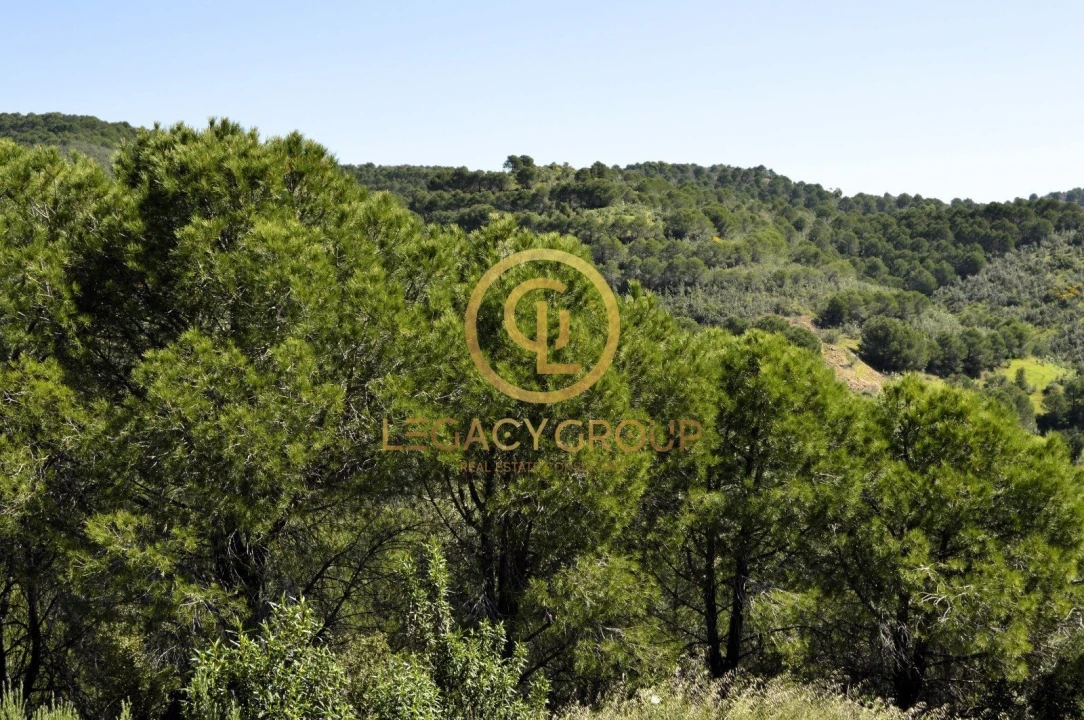 Terreno para Venda em Vaqueiros Foto 17