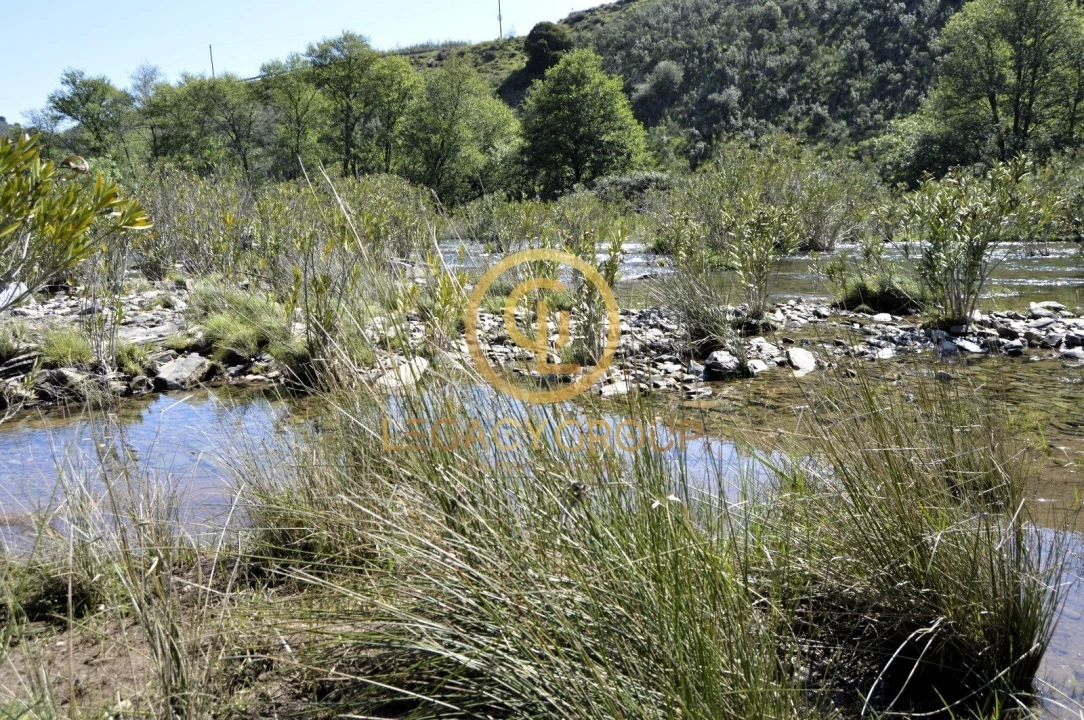 Terreno para Venda em Vaqueiros Foto 9
