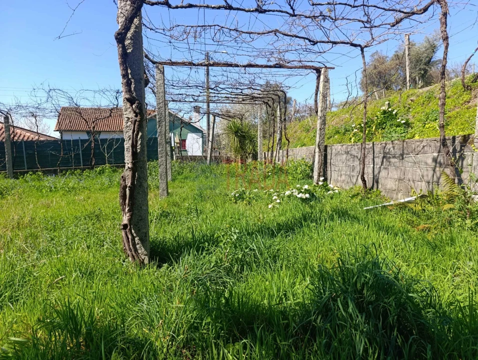 Terreno para Venda em Ribeira do Neiva Foto 10