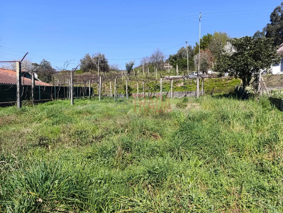 Terreno para Venda em Ribeira do Neiva Foto 2