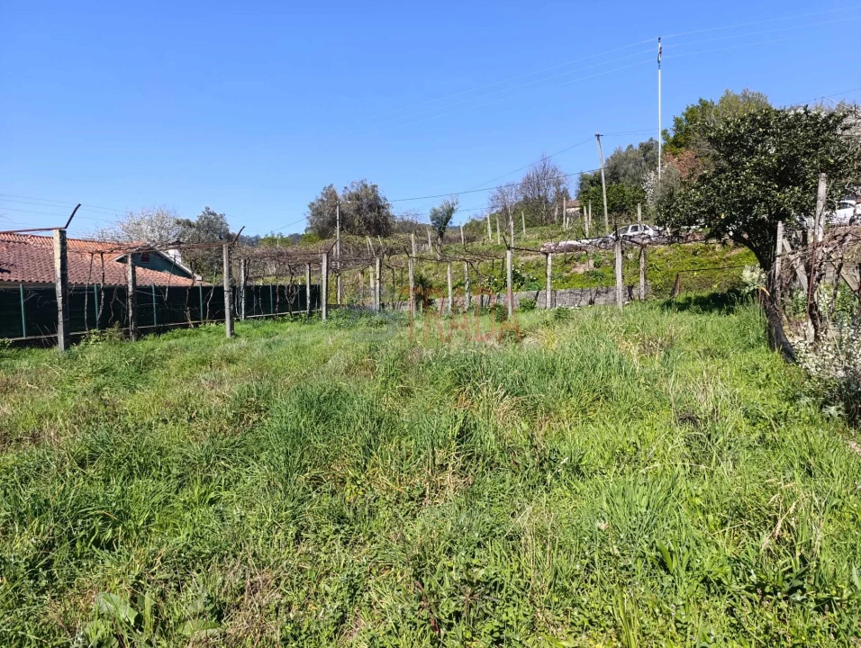 Terreno para Venda em Ribeira do Neiva Foto 4