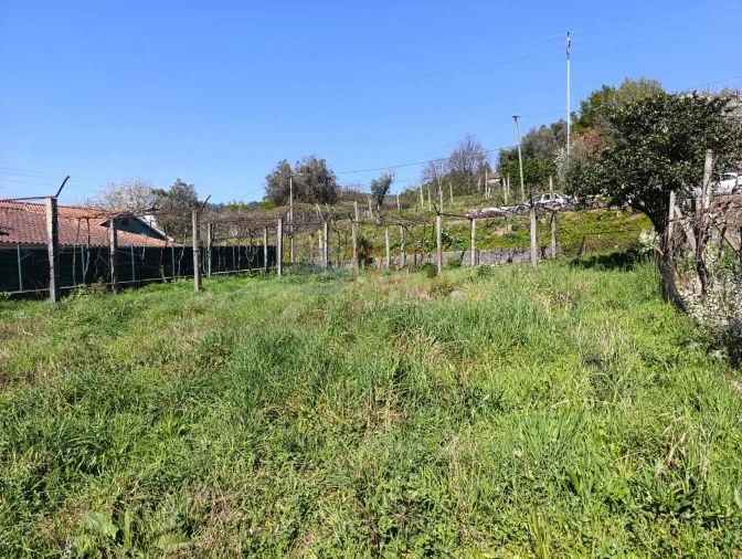 Terreno para Venda em Ribeira do Neiva Foto 4