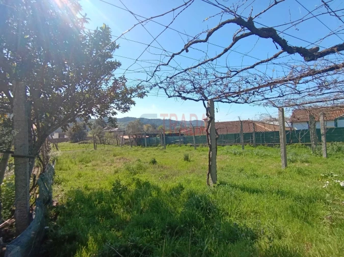 Terreno para Venda em Ribeira do Neiva Foto 6