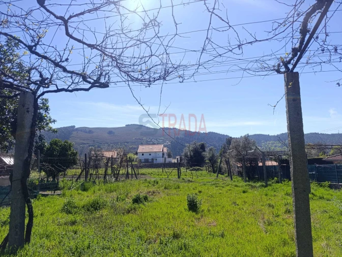 Terreno para Venda em Ribeira do Neiva Foto 7