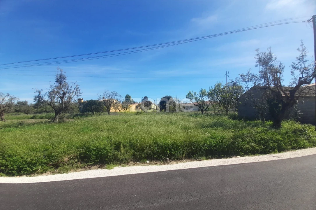 Terreno para Venda em Pombal Foto 15