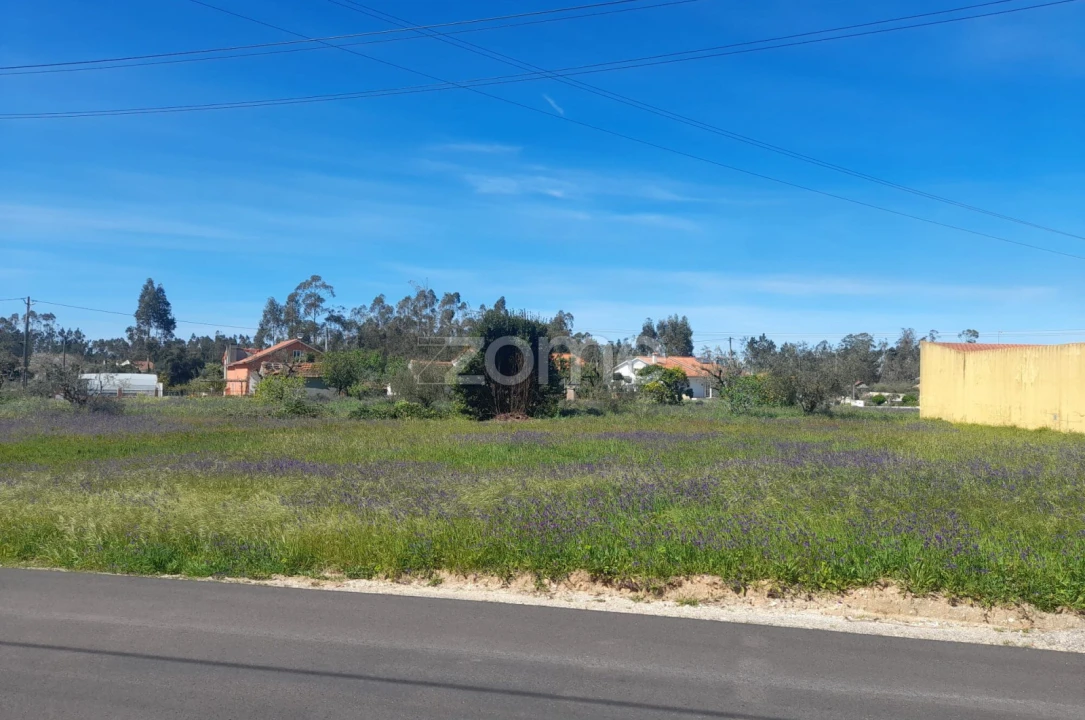 Terreno para Venda em Pombal Foto 9