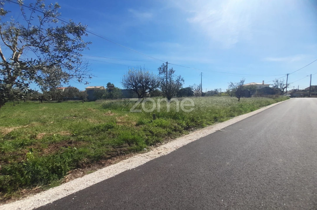 Terreno para Venda em Pombal Foto 1