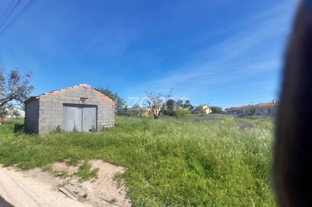 Terreno para Venda em Pombal Foto 14