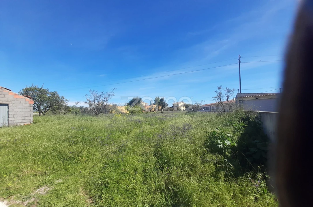 Terreno para Venda em Pombal Foto 13