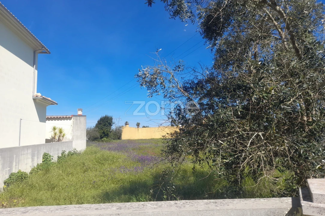 Terreno para Venda em Pombal Foto 12