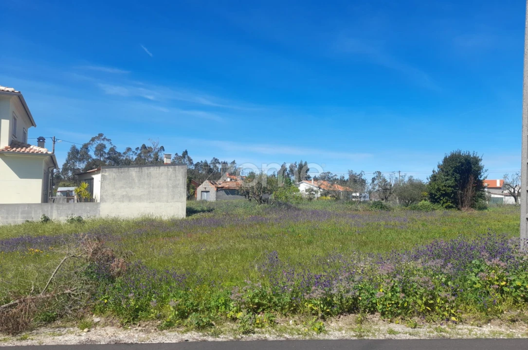 Terreno para Venda em Pombal Foto 11