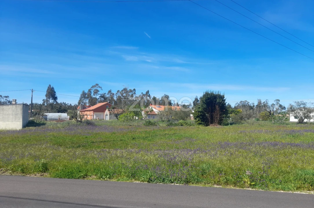 Terreno para Venda em Pombal Foto 10