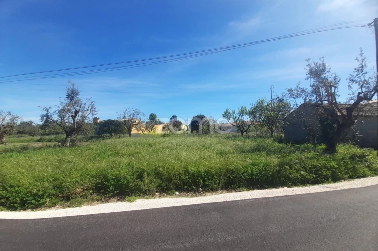 Terreno para Venda em Pombal Foto 15