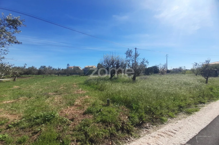 Terreno para Venda em Pombal Foto 20