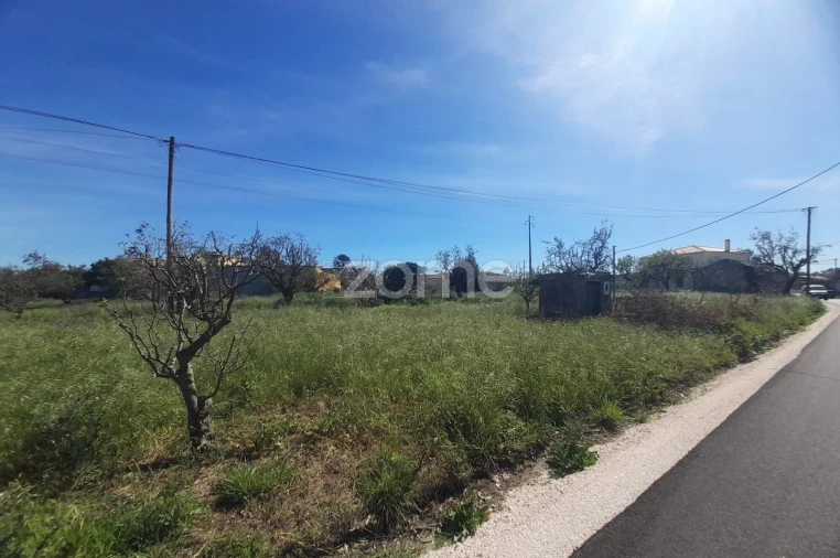 Terreno para Venda em Pombal Foto 18