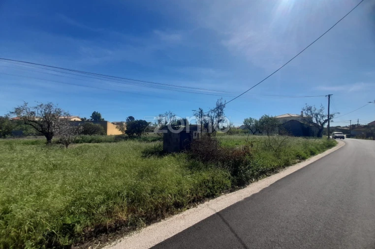 Terreno para Venda em Pombal Foto 17