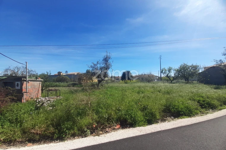 Terreno para Venda em Pombal Foto 16