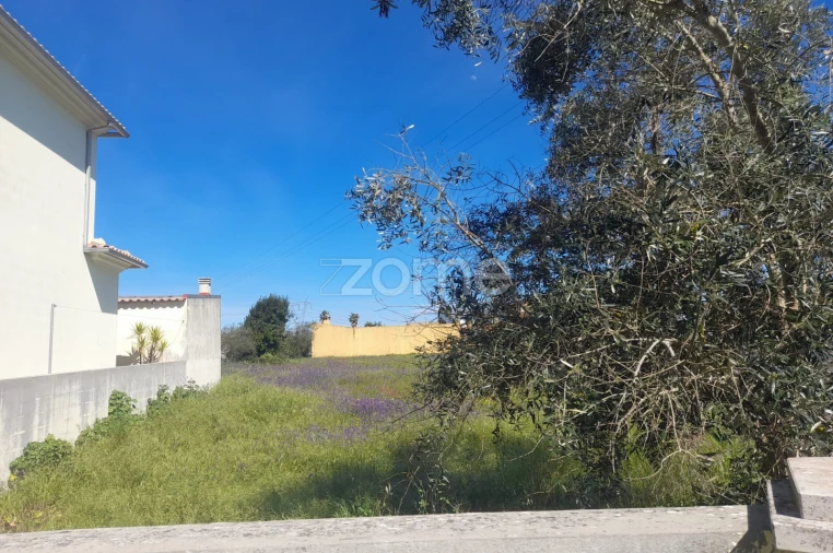 Terreno para Venda em Pombal Foto 12