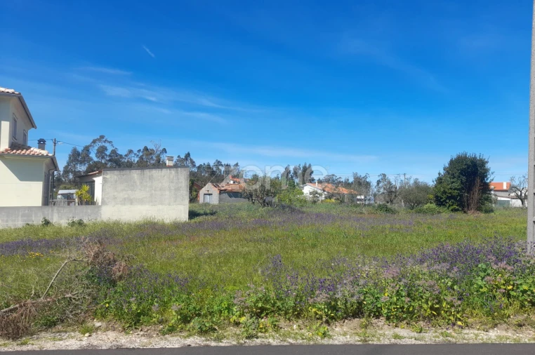 Terreno para Venda em Pombal Foto 11