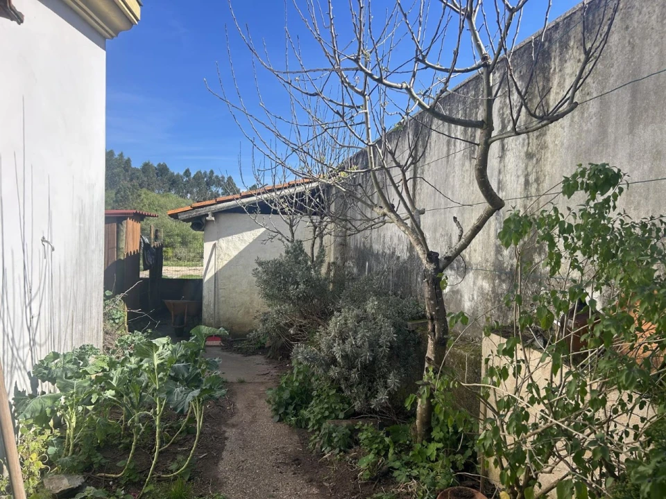 Moradia T3 para Venda em Oiã Foto 33