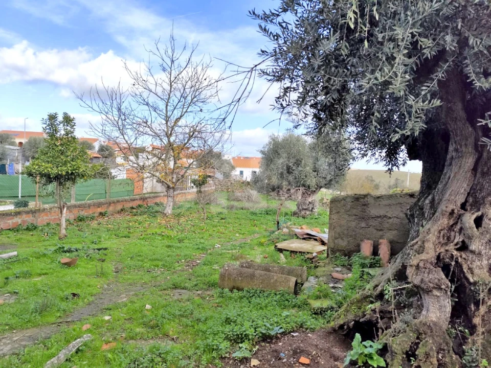 Moradia T1 para Venda em Monte do Trigo Foto 9