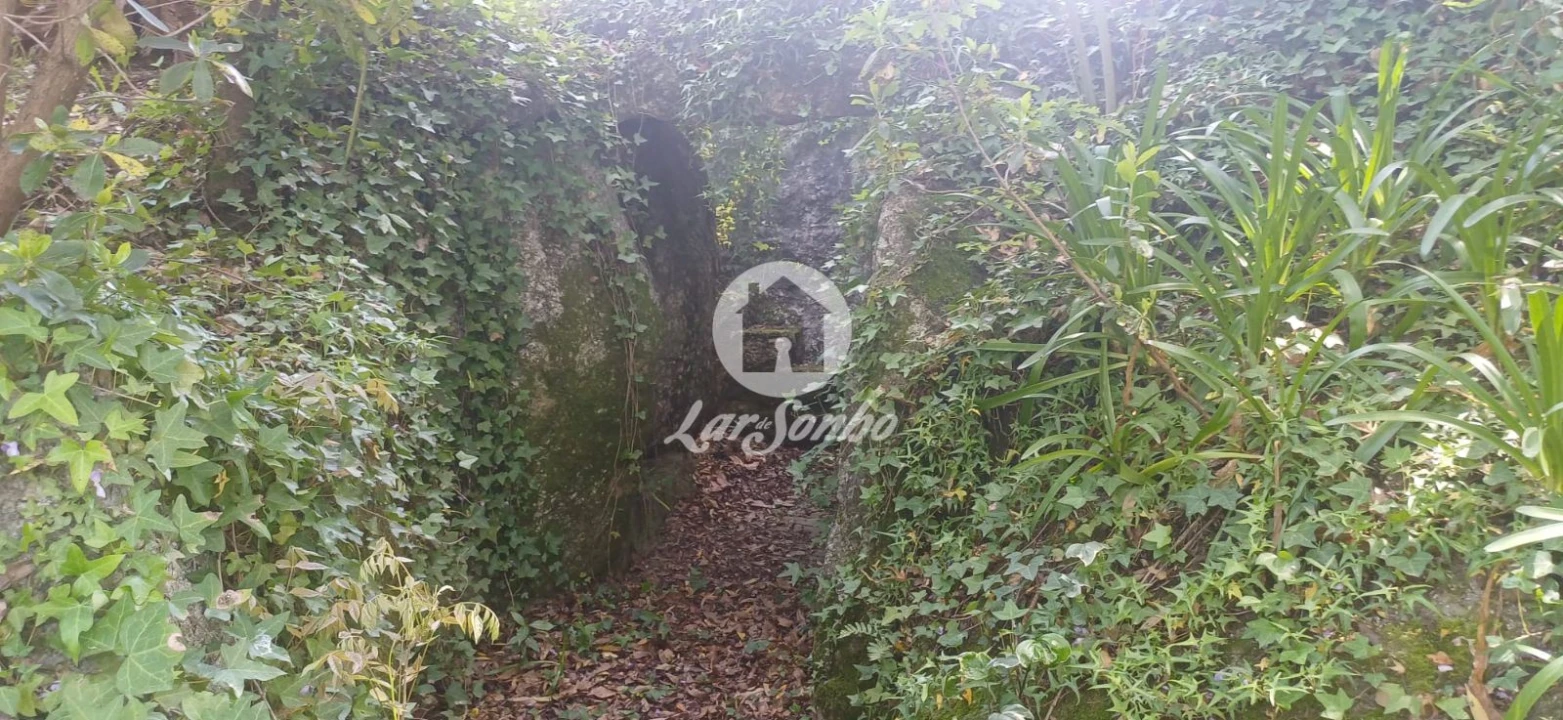 Moradia T5 para Venda em Meinedo Foto 38