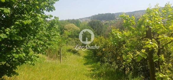 Moradia T5 para Venda em Meinedo