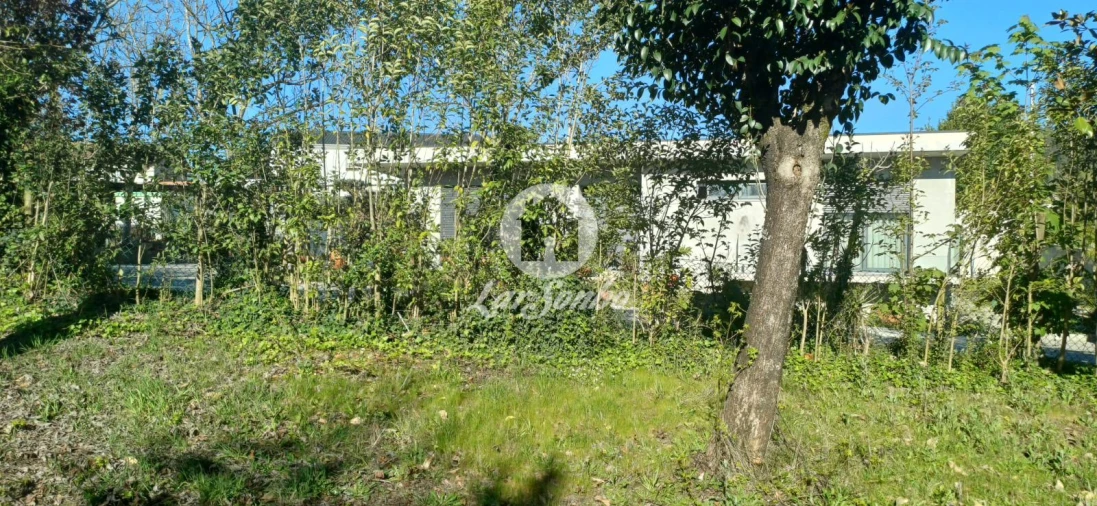 Moradia T5 para Venda em Meinedo Foto 26