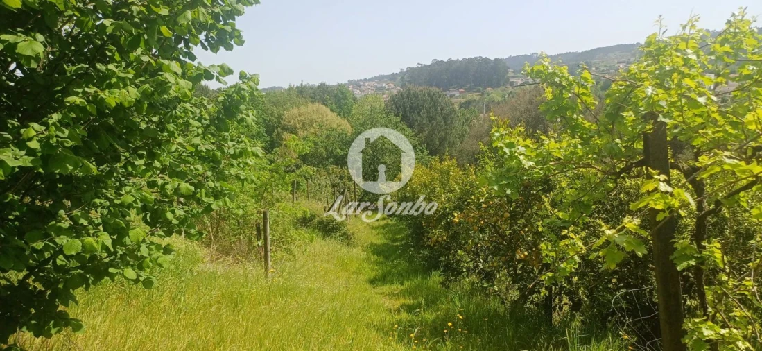 Moradia T5 para Venda em Meinedo Foto 40