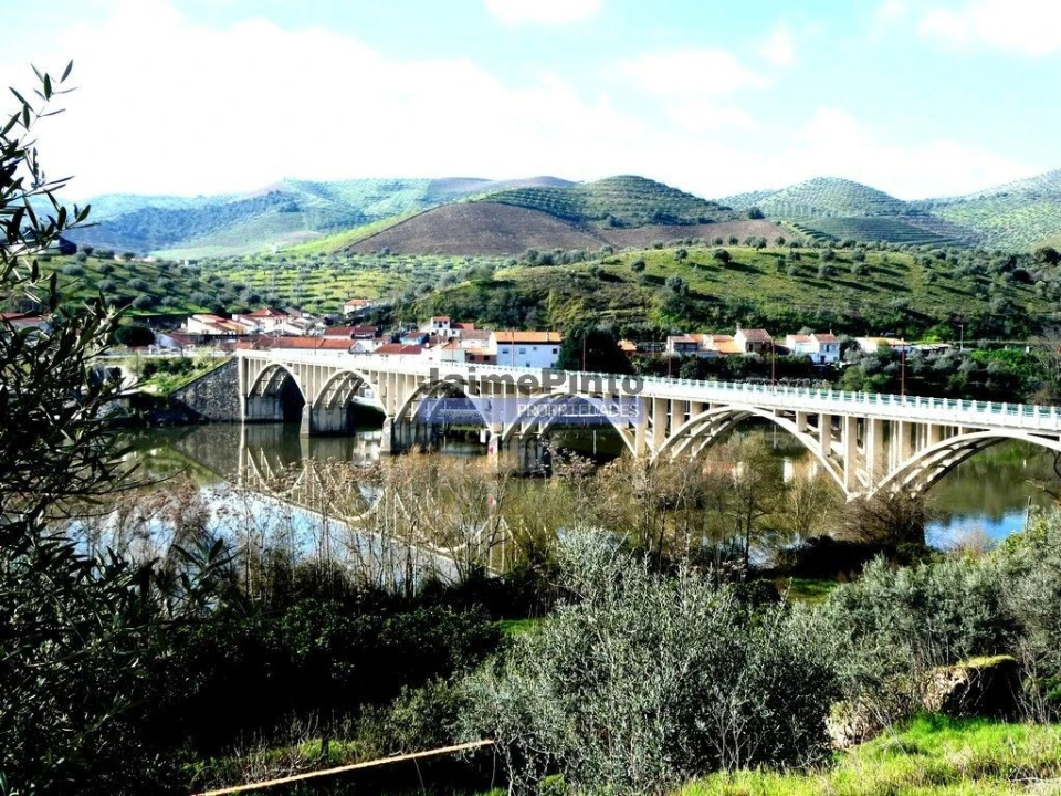 Terreno Misto para Venda em Escalhão Foto 9