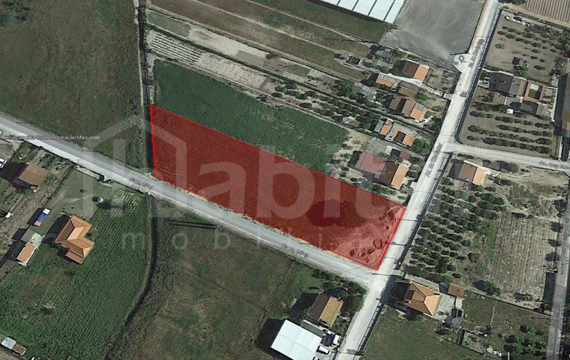 Terreno Comércio / Armazém para Venda em Benavente Foto 2