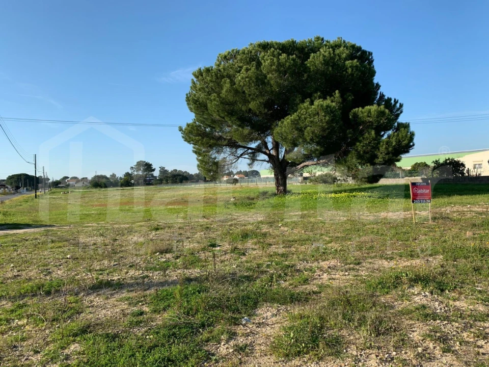 Terreno Comércio / Armazém para Venda em Benavente Foto 1
