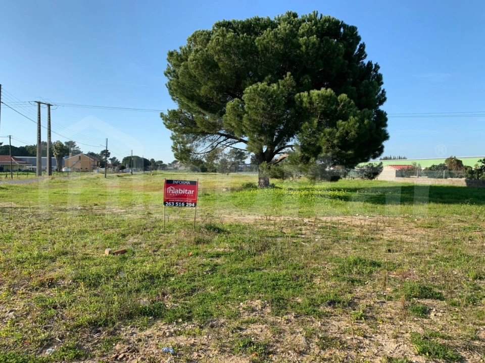 Terreno Comércio / Armazém para Venda em Benavente Foto 4