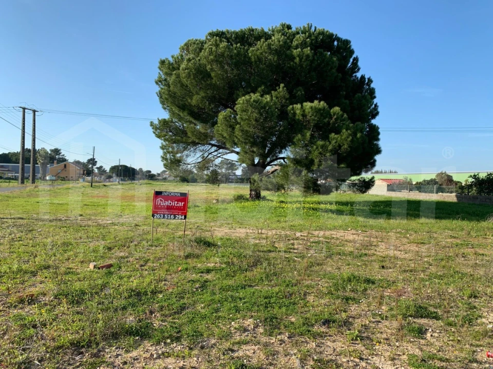 Terreno Comércio / Armazém para Venda em Benavente Foto 5