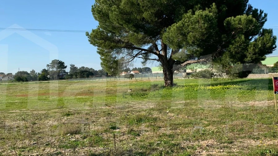 Terreno Comércio / Armazém para Venda em Benavente