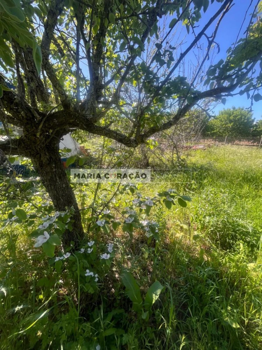 Terreno para Venda em Aveiras de Cima Foto 25