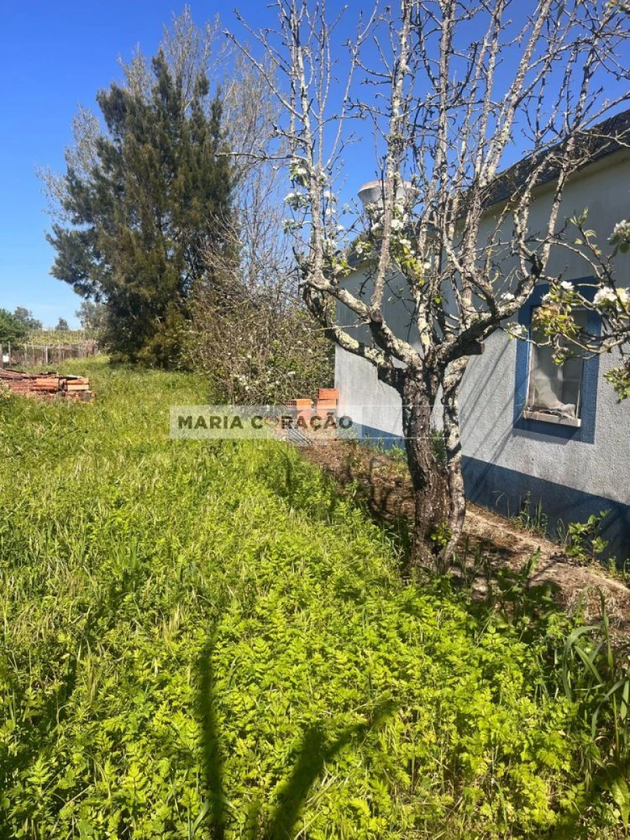 Terreno para Venda em Aveiras de Cima Foto 27