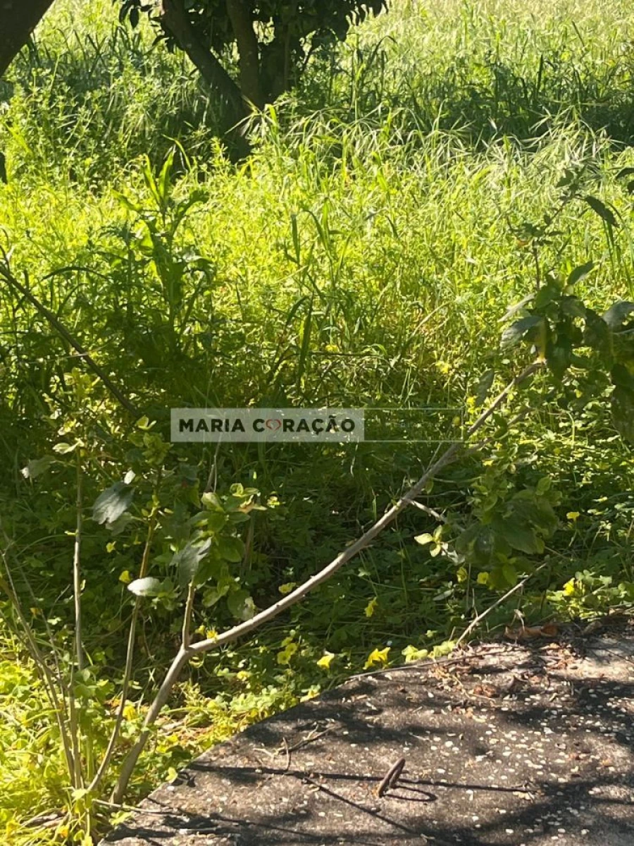 Terreno para Venda em Aveiras de Cima Foto 23
