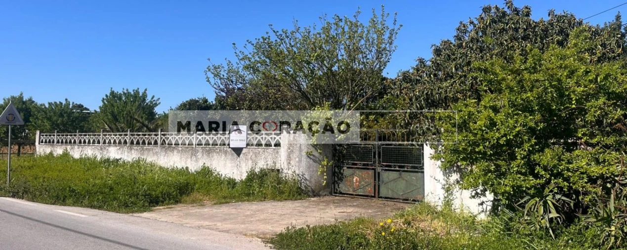 Terreno para Venda em Aveiras de Cima Foto 29