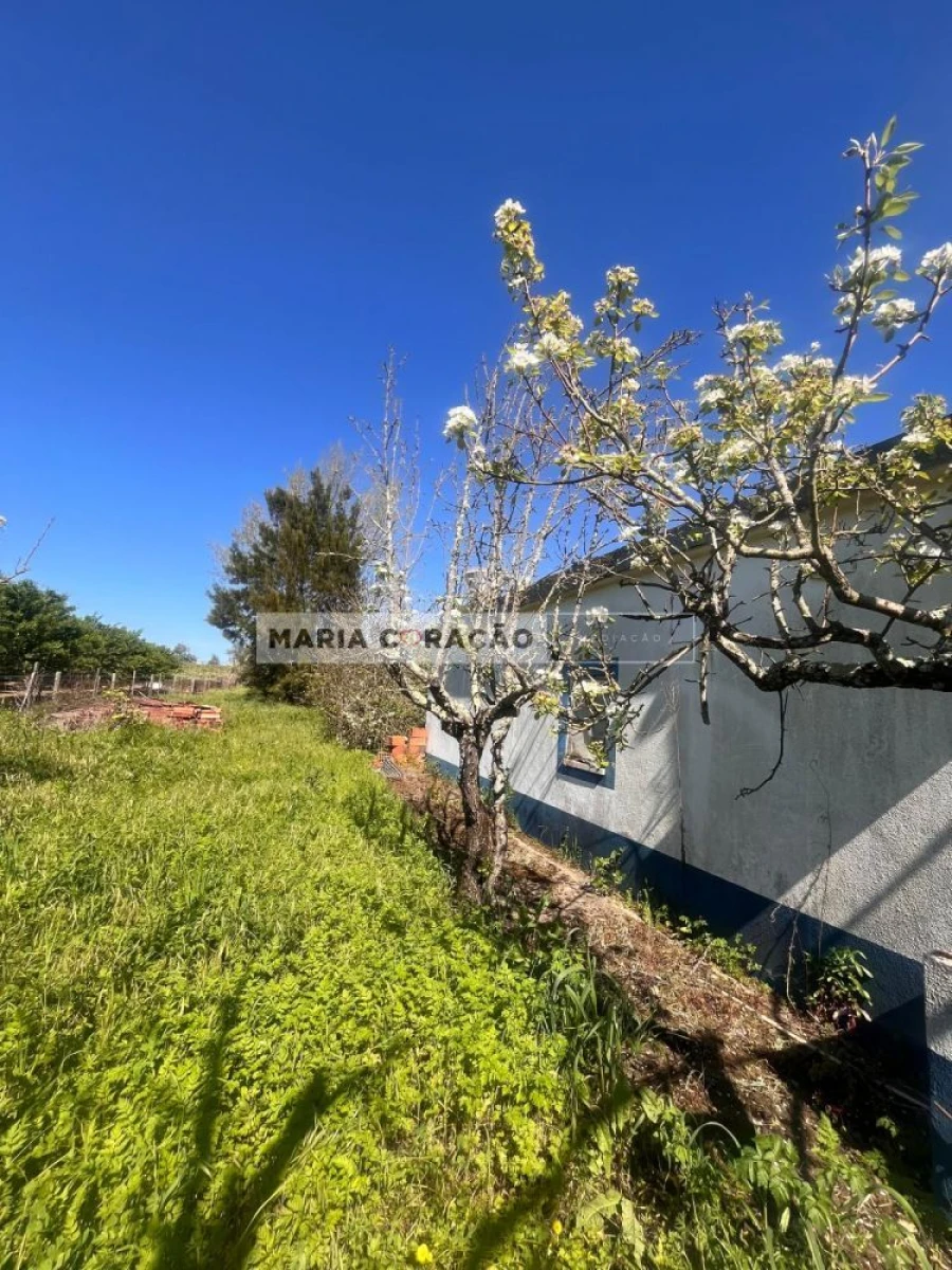 Terreno para Venda em Aveiras de Cima Foto 17