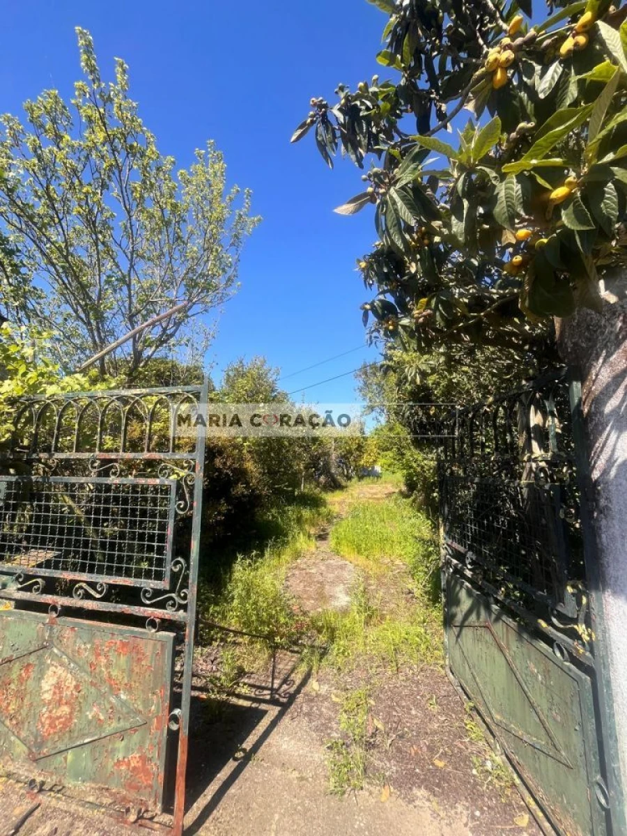Terreno para Venda em Aveiras de Cima Foto 4