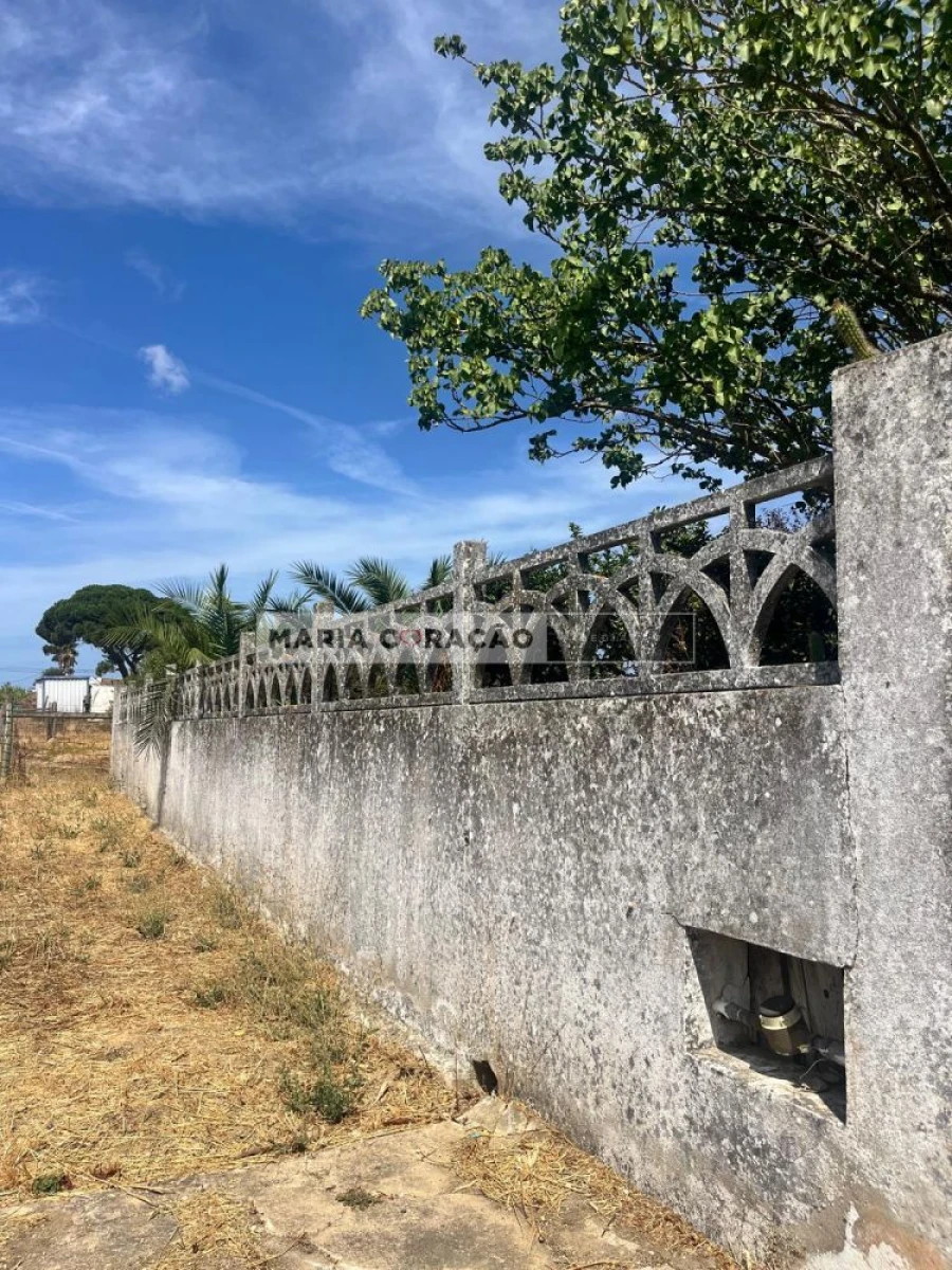 Terreno para Venda em Aveiras de Cima Foto 2