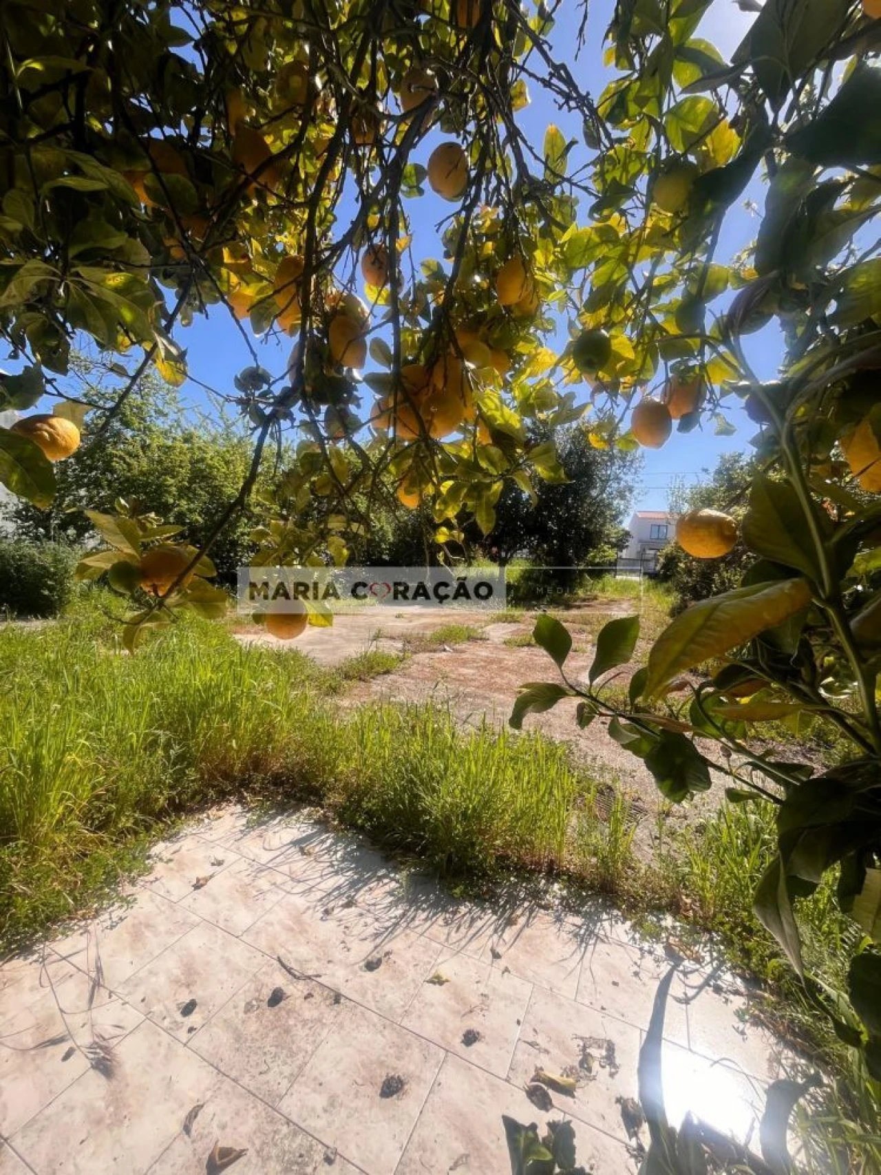 Terreno para Venda em Aveiras de Cima Foto 11
