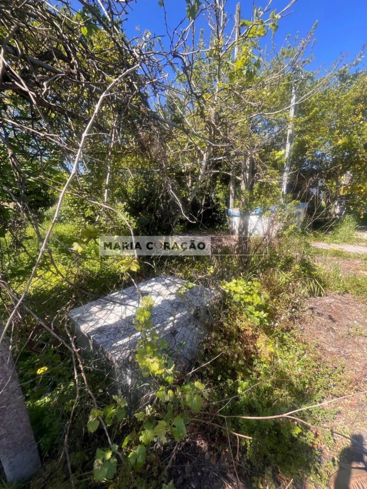Terreno para Venda em Aveiras de Cima Foto 5
