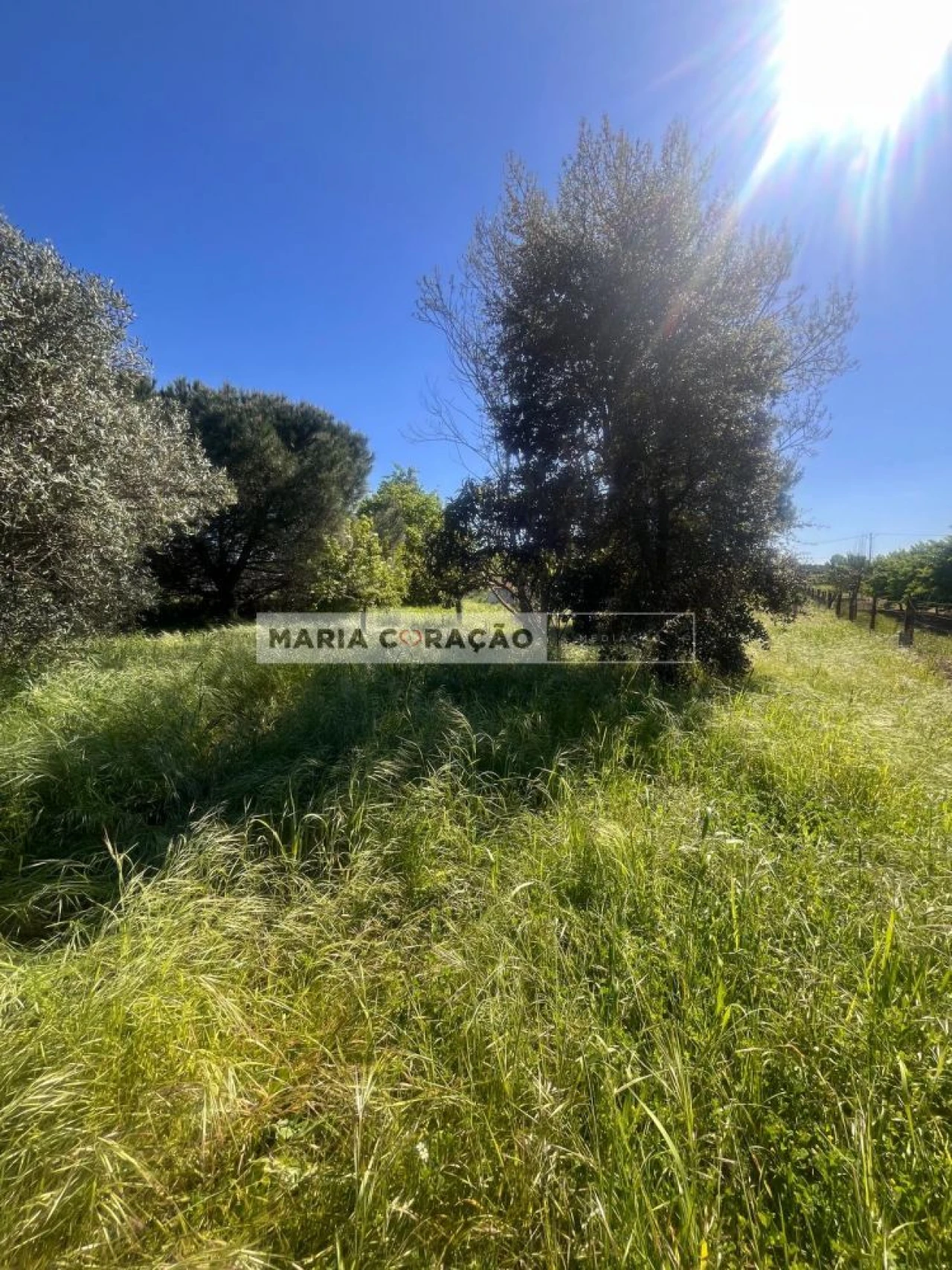 Terreno para Venda em Aveiras de Cima Foto 15