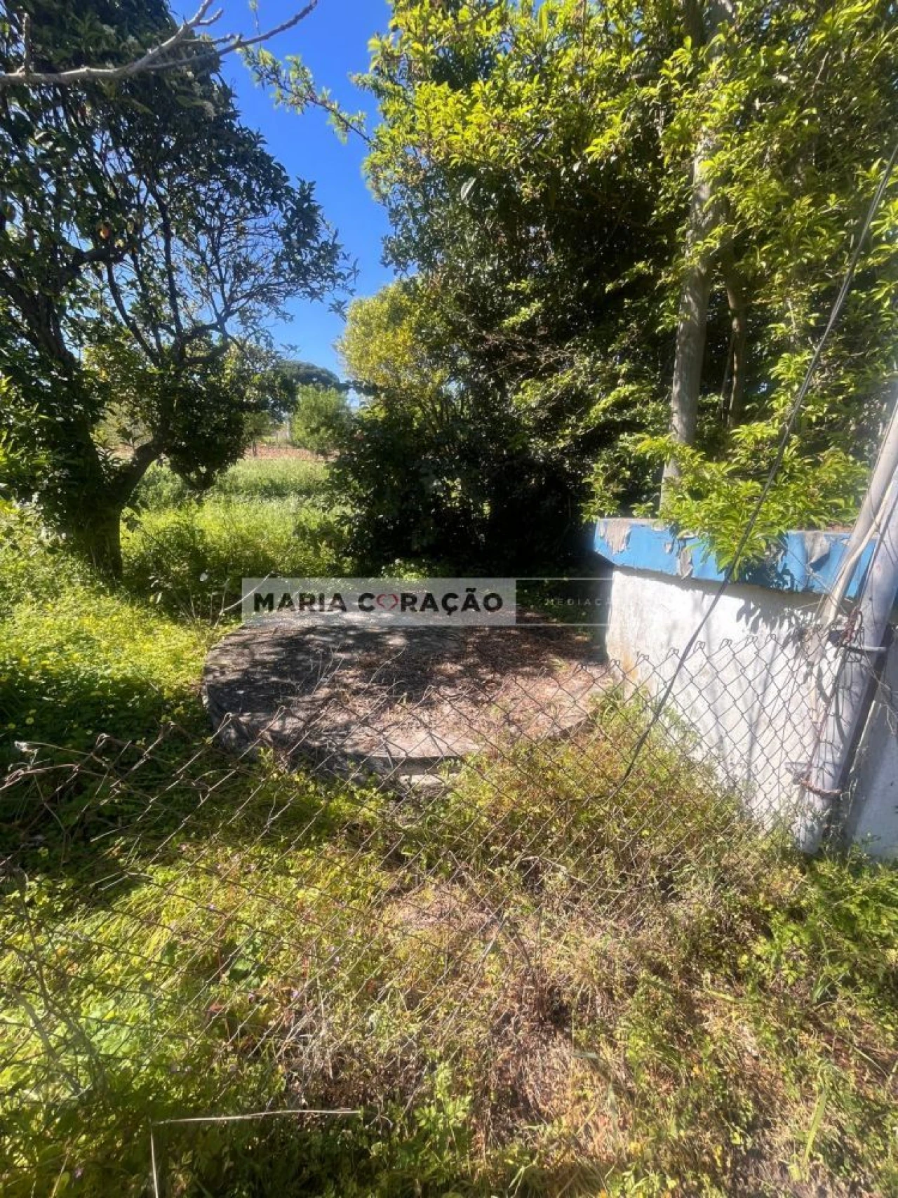 Terreno para Venda em Aveiras de Cima Foto 6