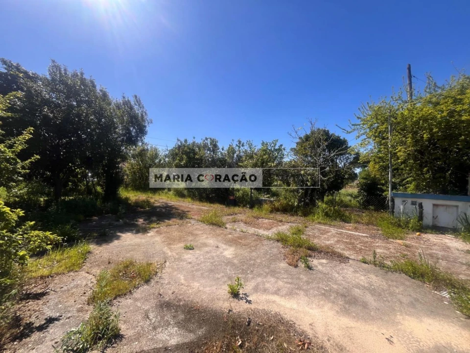 Terreno para Venda em Aveiras de Cima Foto 12