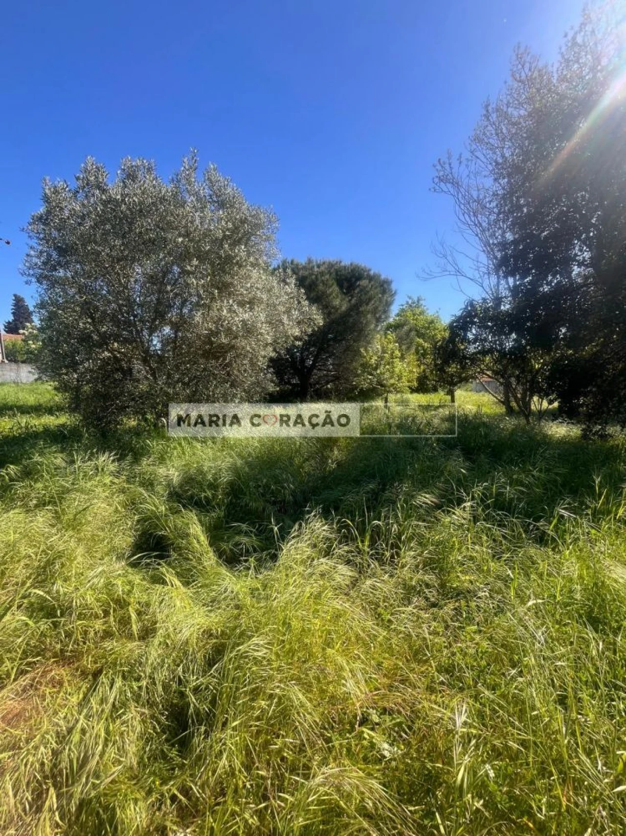Terreno para Venda em Aveiras de Cima Foto 14